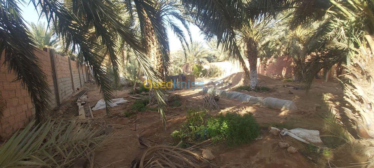 Vente Terrain Ghardaïa Metlilli