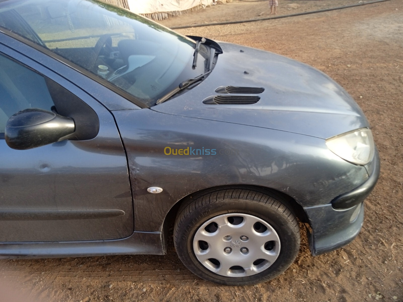 Peugeot 206 Sedan 2007 206 Sedan