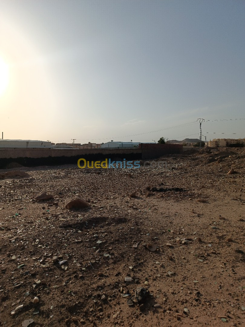 Vente Terrain Biskra Biskra