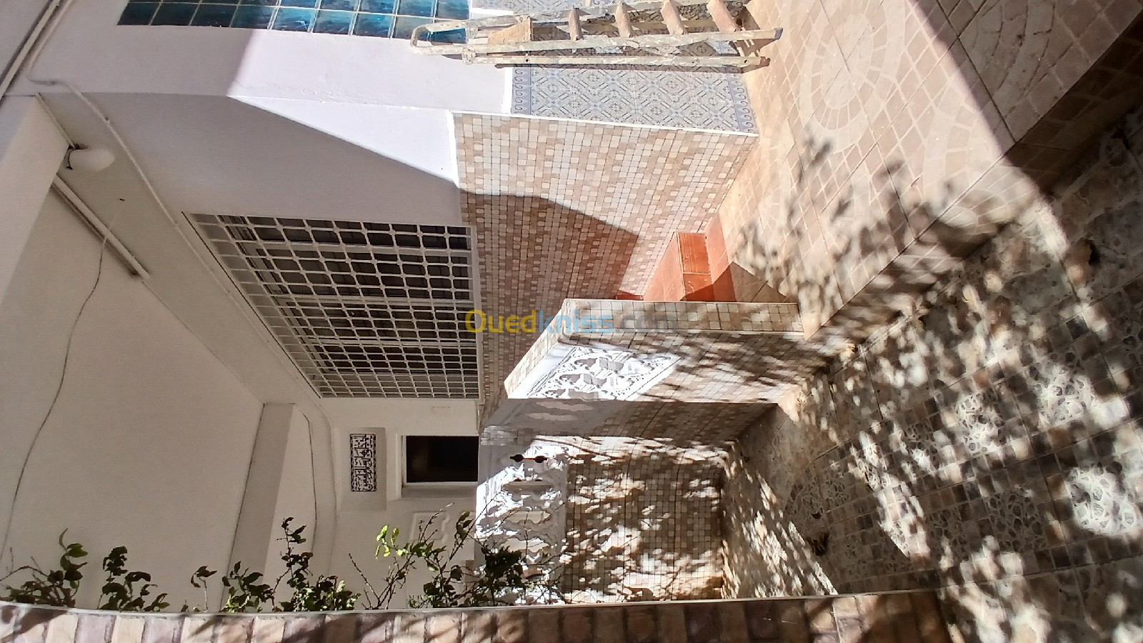 Location Appartement F3 Alger El biar