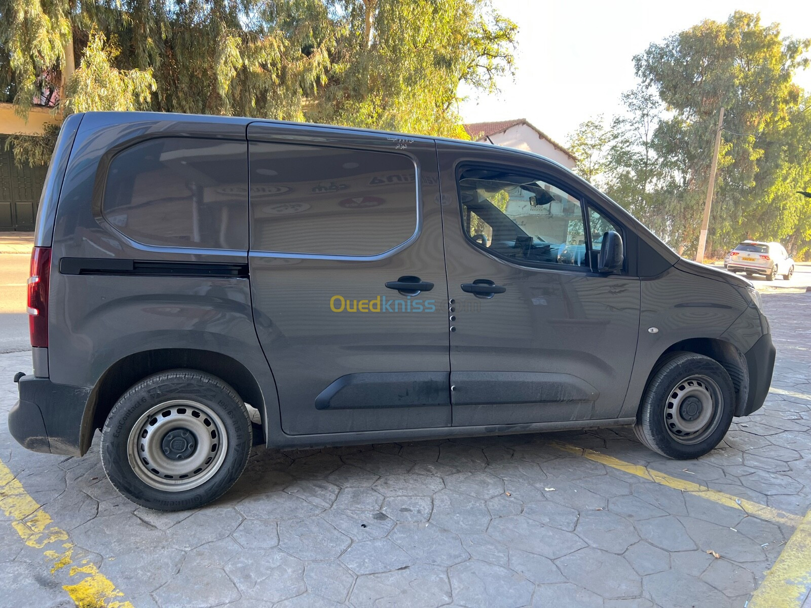 Fiat Doblo 2023 Professional