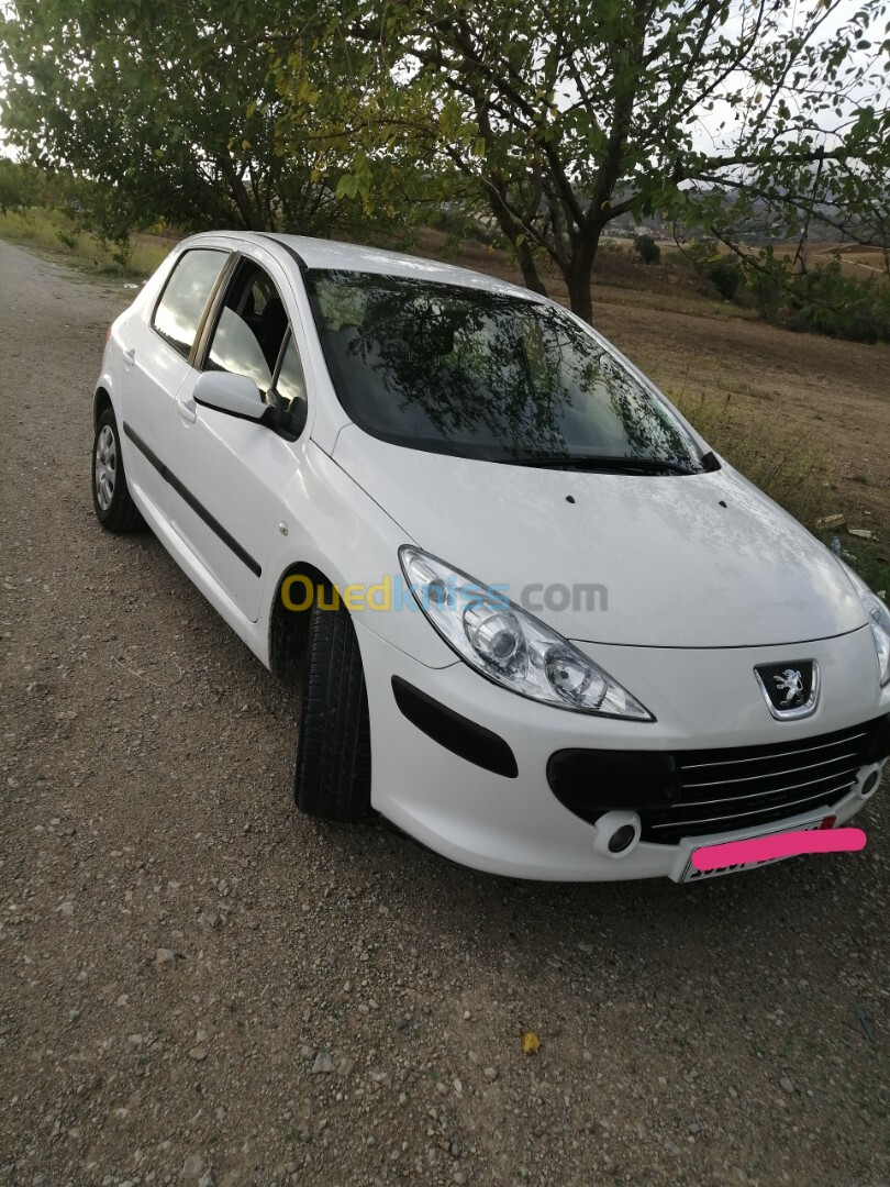 Peugeot 307 2006 Oxygo