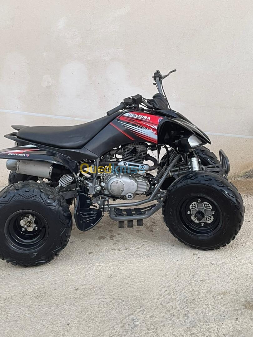 Vms Raptor 250 2023