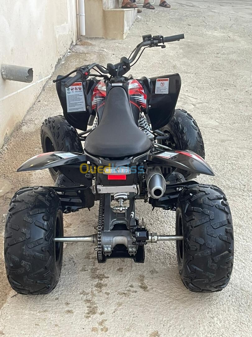 Vms Raptor 250 2023