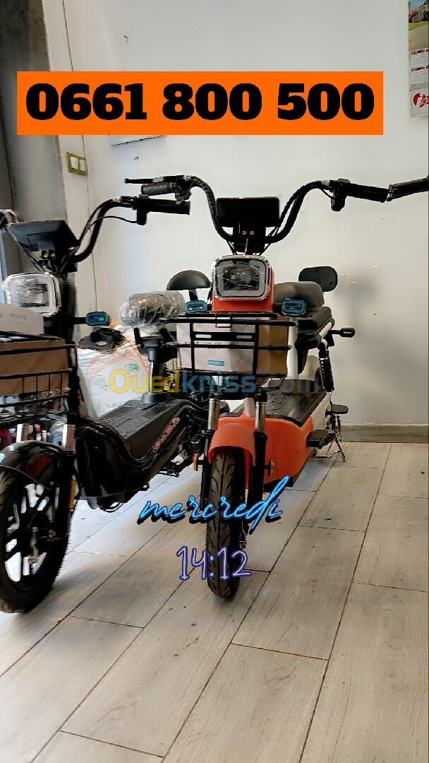 Scoozer Scooter électrique 2024