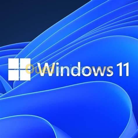 Windows 10/11 pro 