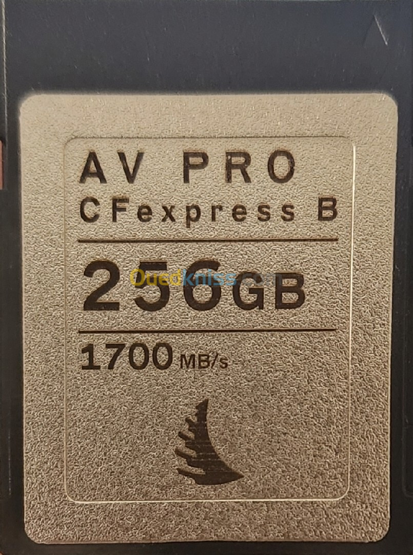  AV PRO CFexpress Type B Card | 256GB