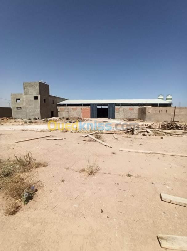 Vente Terrain Saïda Ain el hadjar