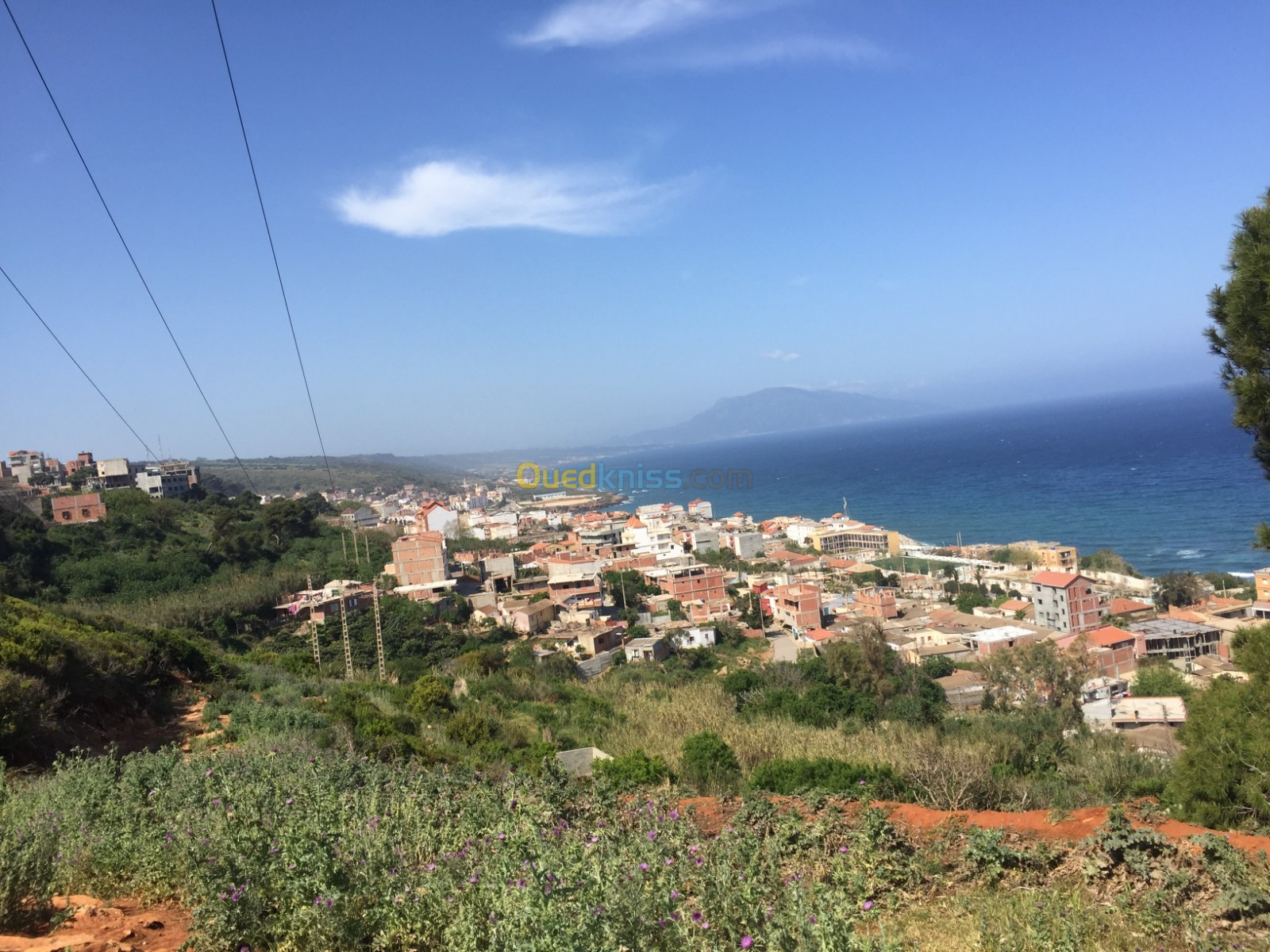 Vente Terrain Tipaza Ain tagourait