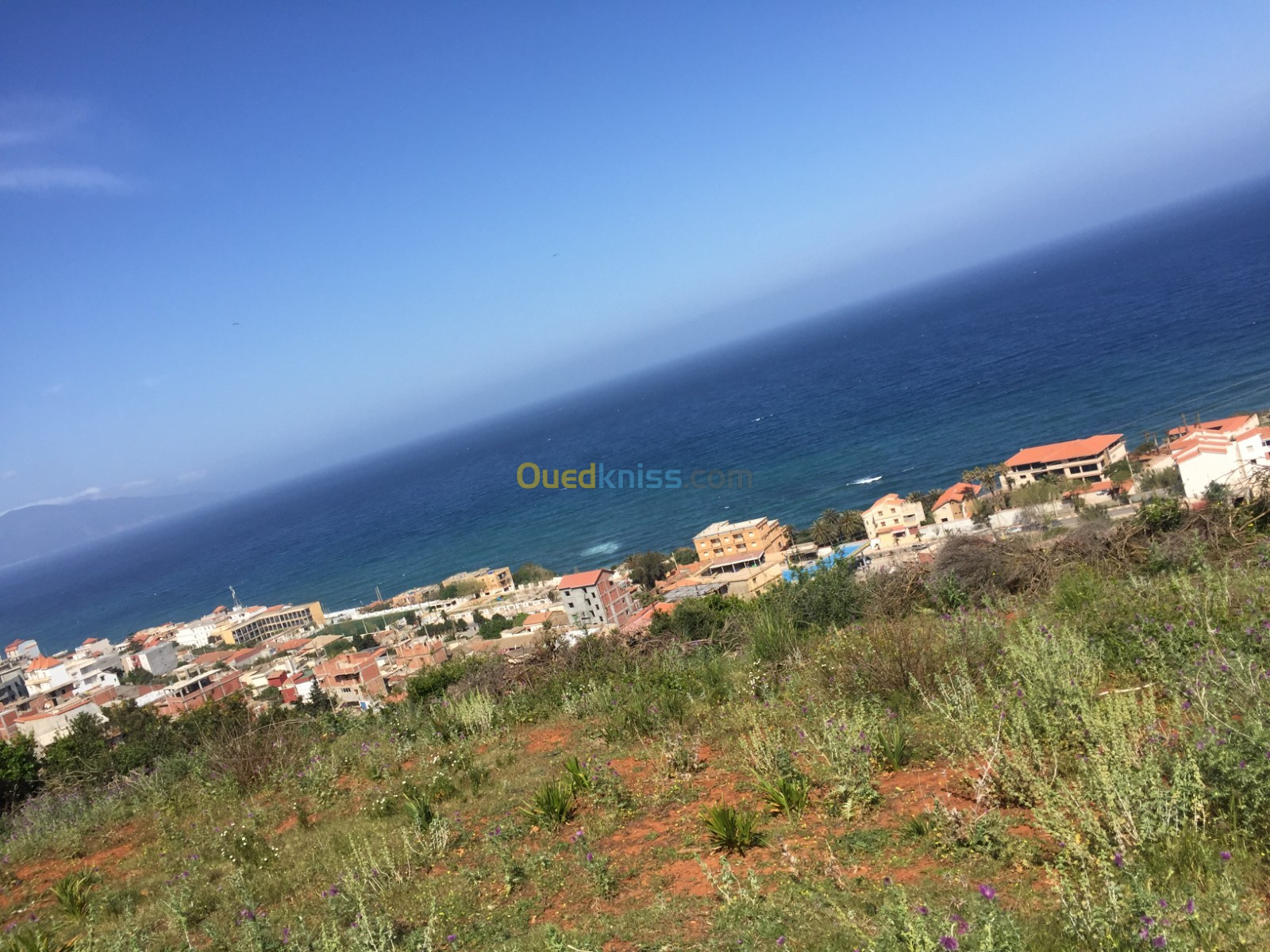 Vente Terrain Tipaza Ain tagourait