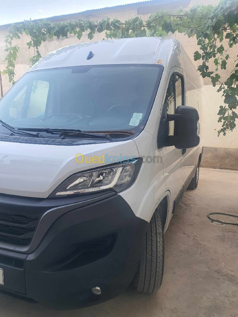 Fiat Ducato L2H2 2023 