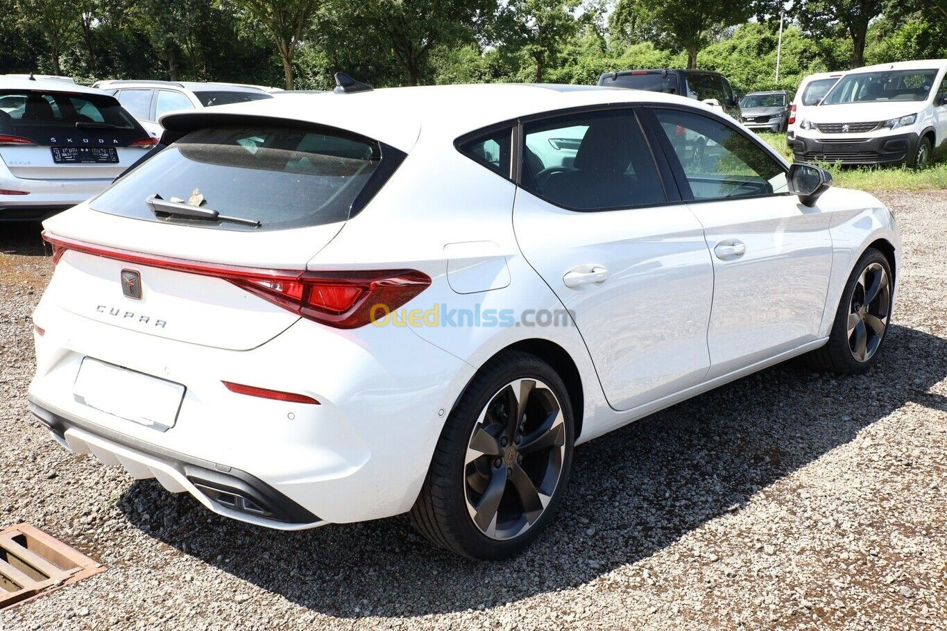 Seat Cupra 2023 