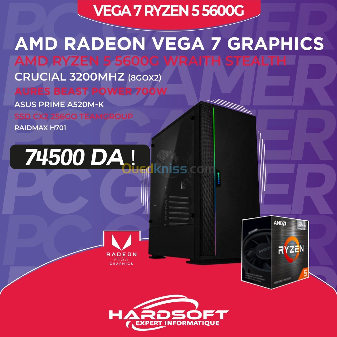 pc gamer تجميعة VEGA GRAPHICS RYZEN 5600G 16 GO RAM 256 SSD A520M-K 700W BEAST H701