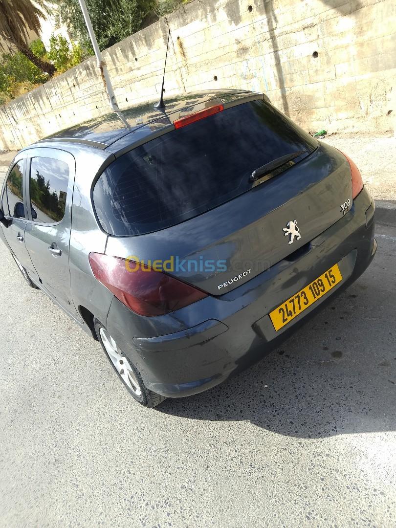 Peugeot 308 2009 Platinum 