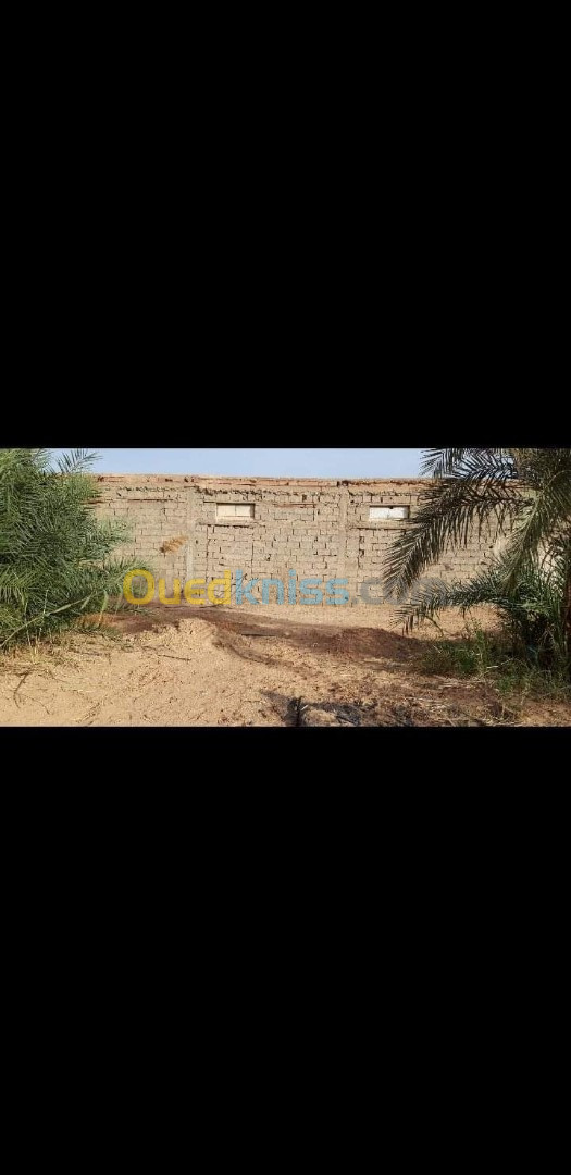 Vente Terrain Agricole Adrar Fenoughil