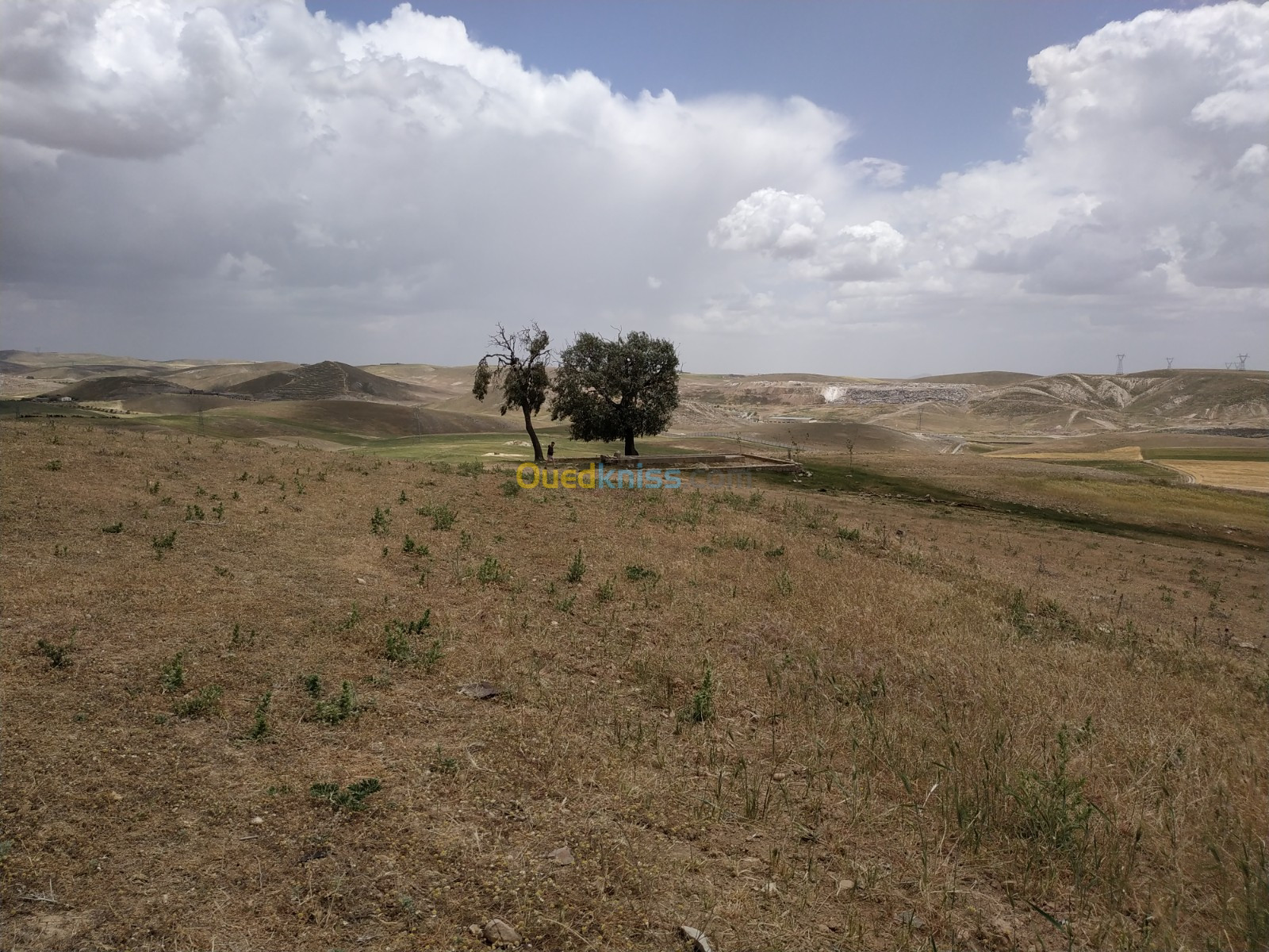 Vente Terrain Agricole Sétif El ouricia