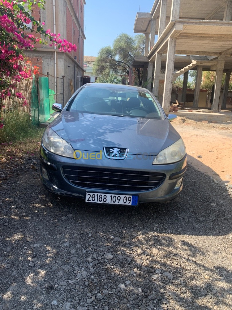 Peugeot 407 2009 407