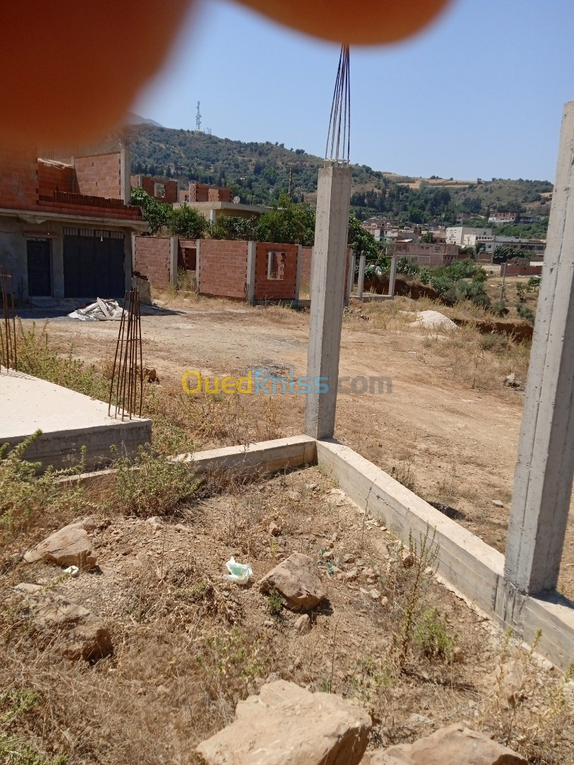 Vente Terrain Blida Ain romana