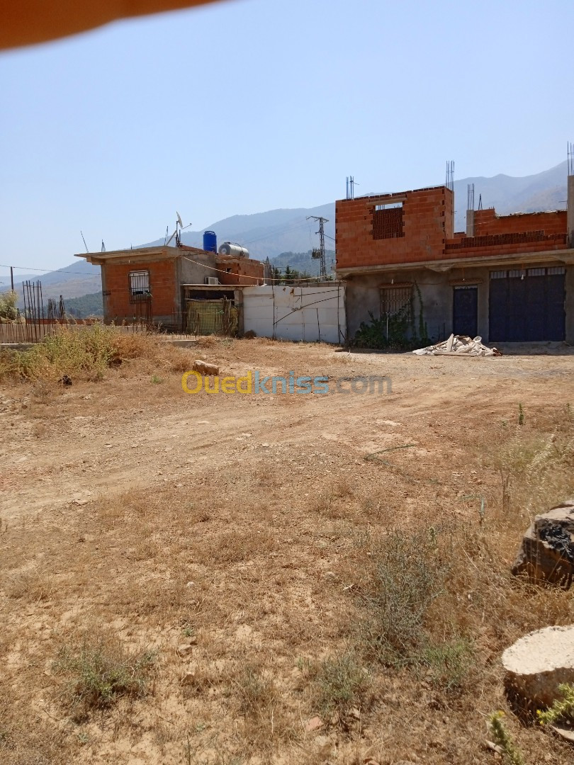 Vente Terrain Blida Ain romana