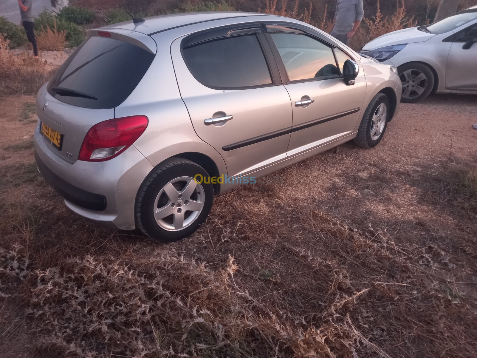 Peugeot 207 2007 207