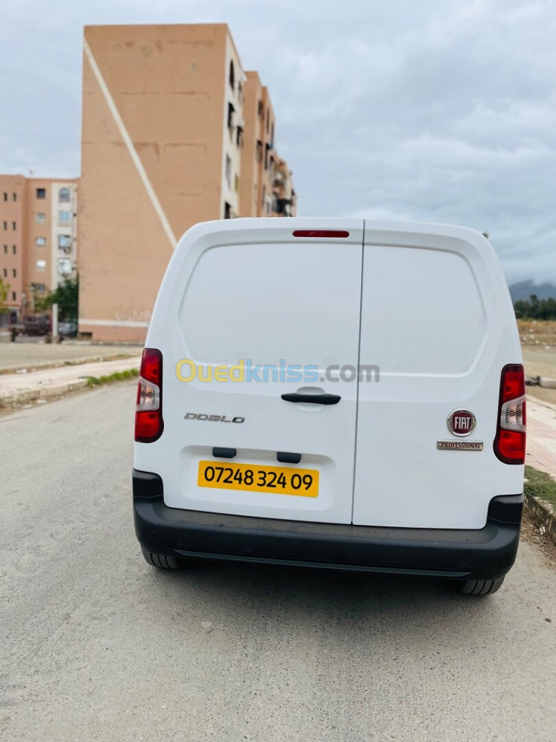 Fiat Doblo 2024 Professional