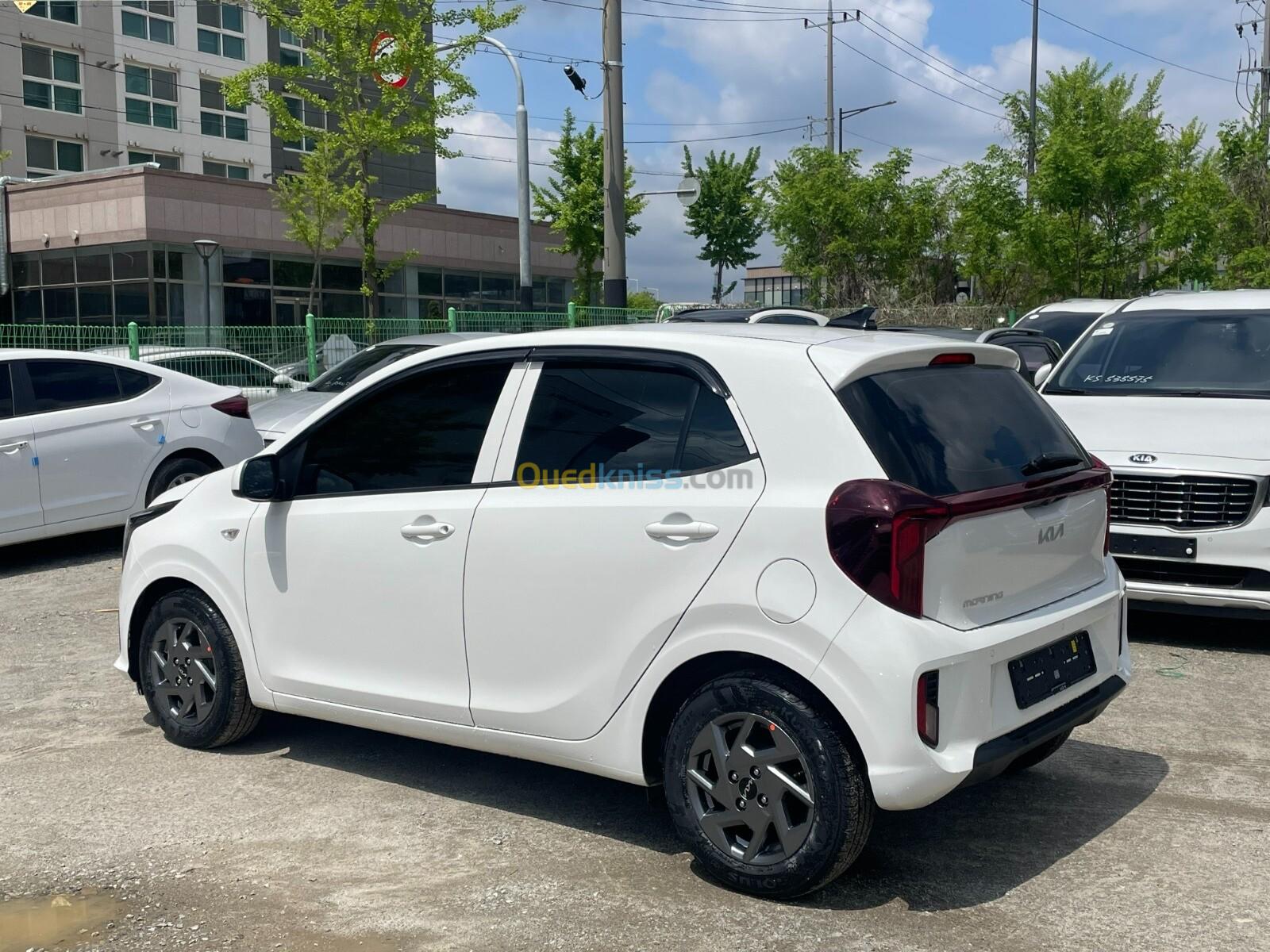 Kia Picanto 2024 Morning