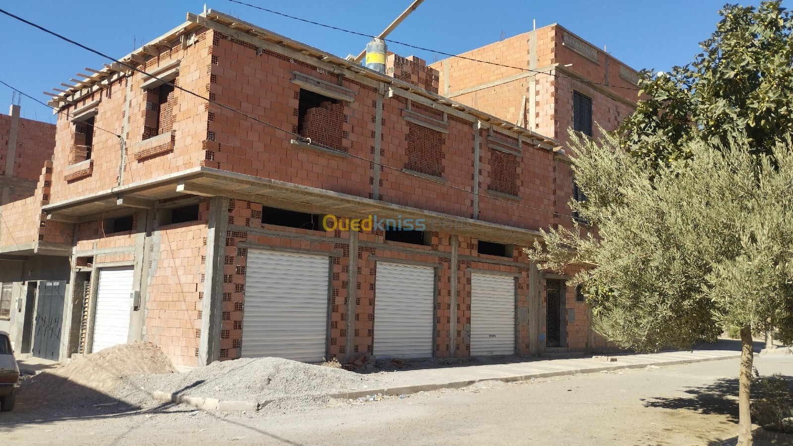 Vente Terrain Sidi Bel Abbès Amarnas