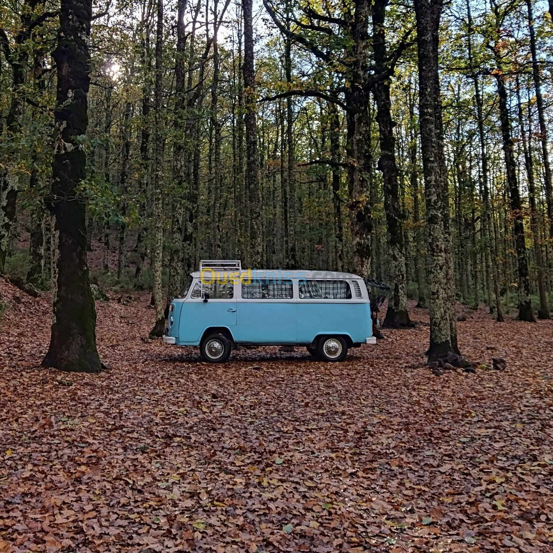 Volkswagen T 2 1974 T 2