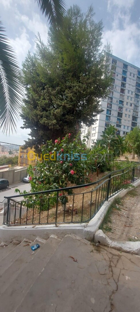 Vente Appartement F4 Annaba Annaba