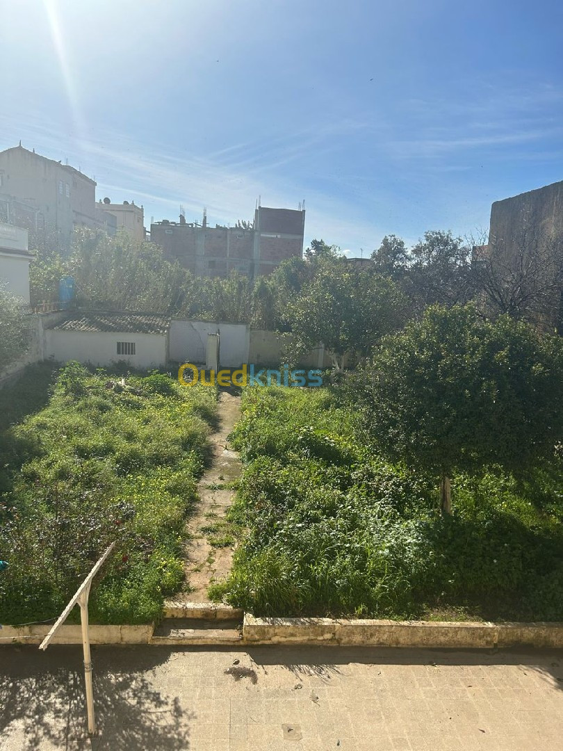 Vente Villa Alger Birkhadem