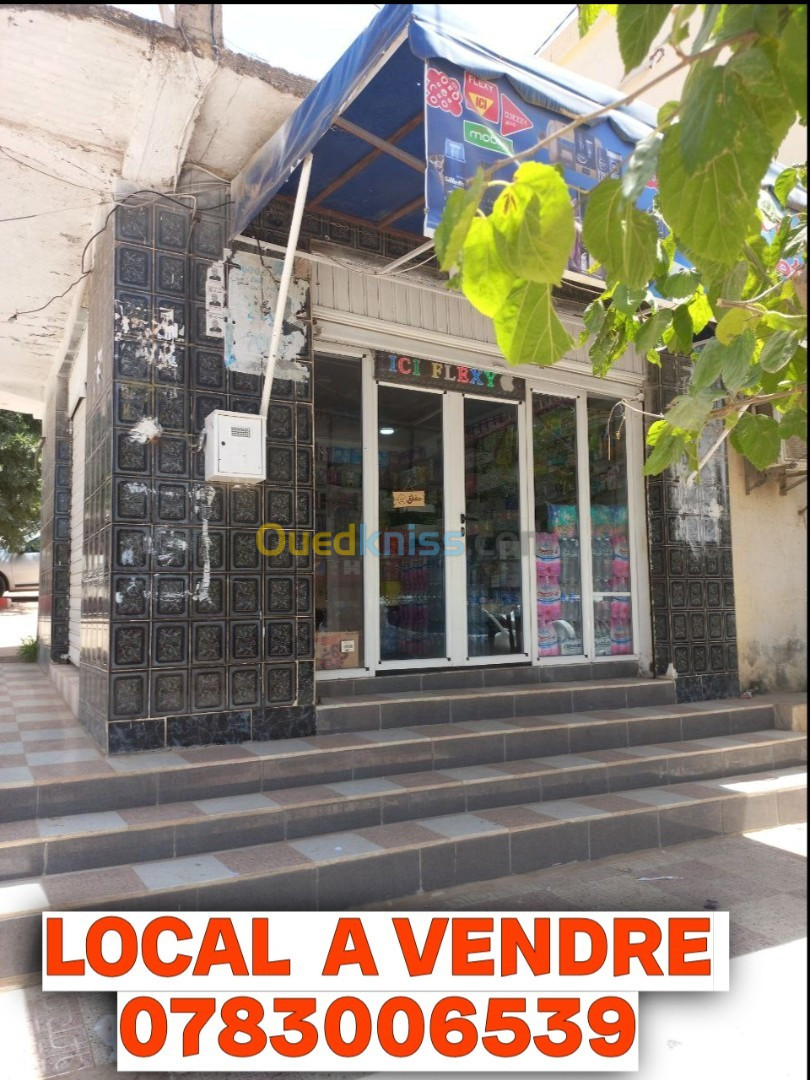 Vente Local Aïn Defla Boumedfaa