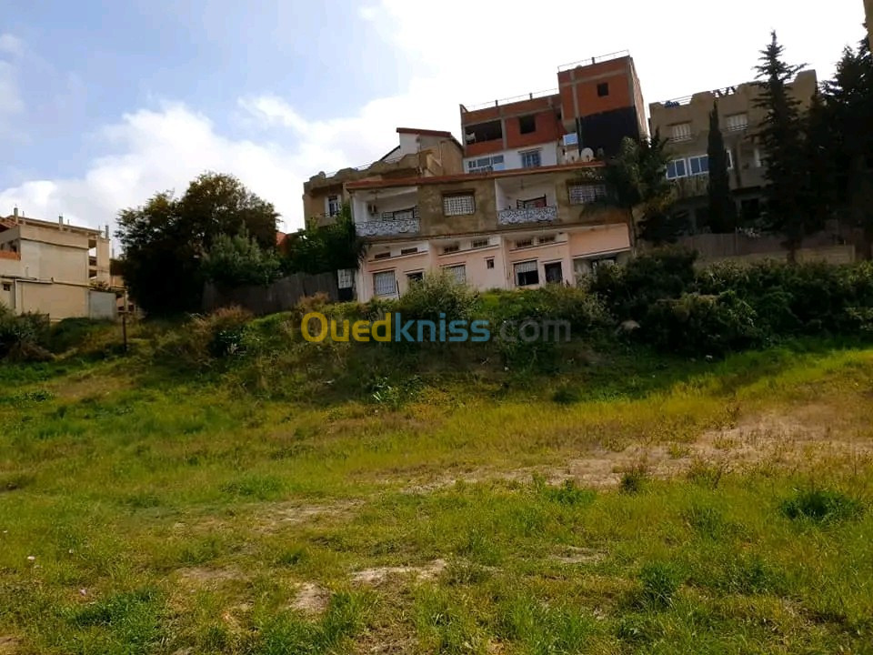 Vente Terrain Tipaza Cherchell