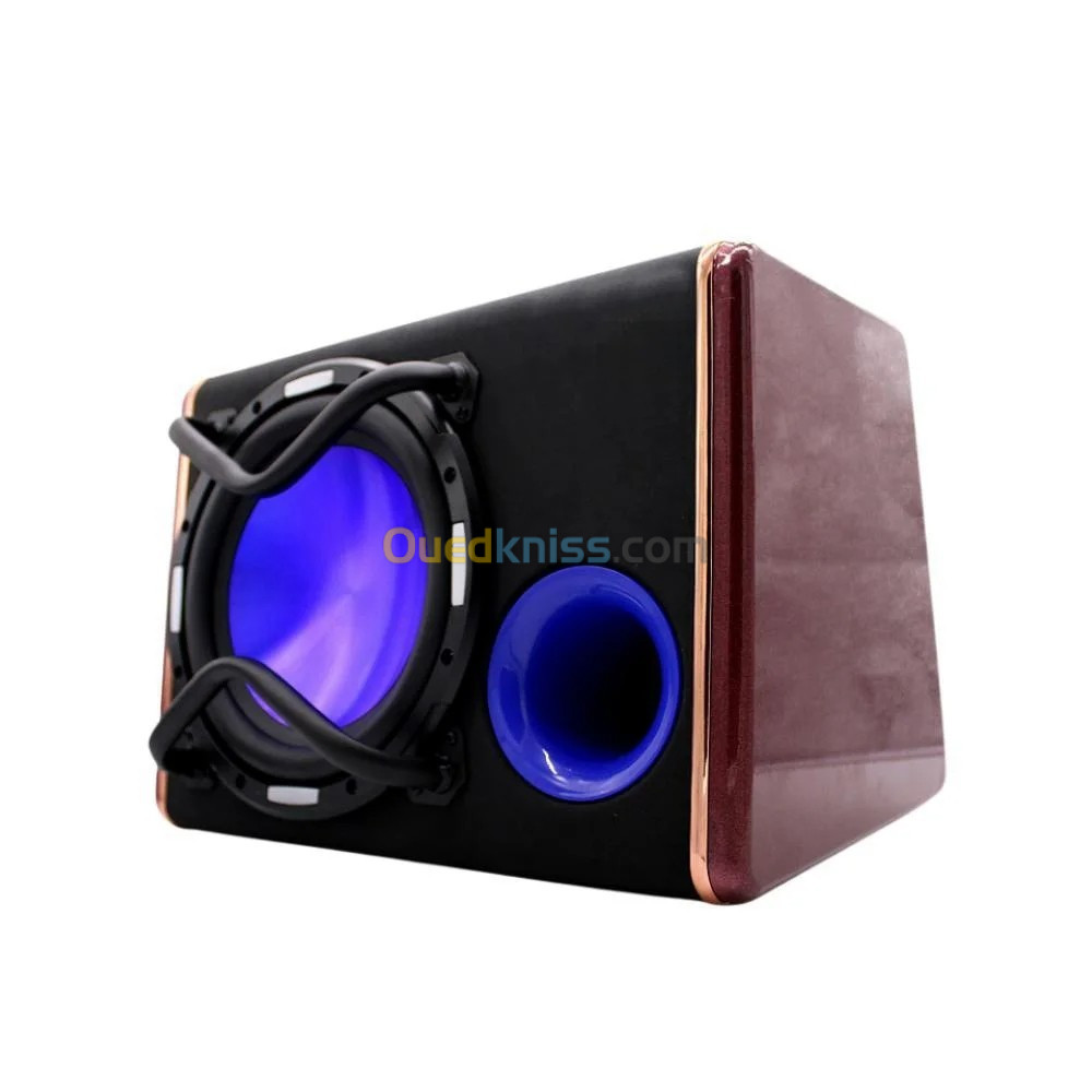  X-TOP Subwoofer de caisson de basses grande puissance 4600W amplificateur integré pour voiture 