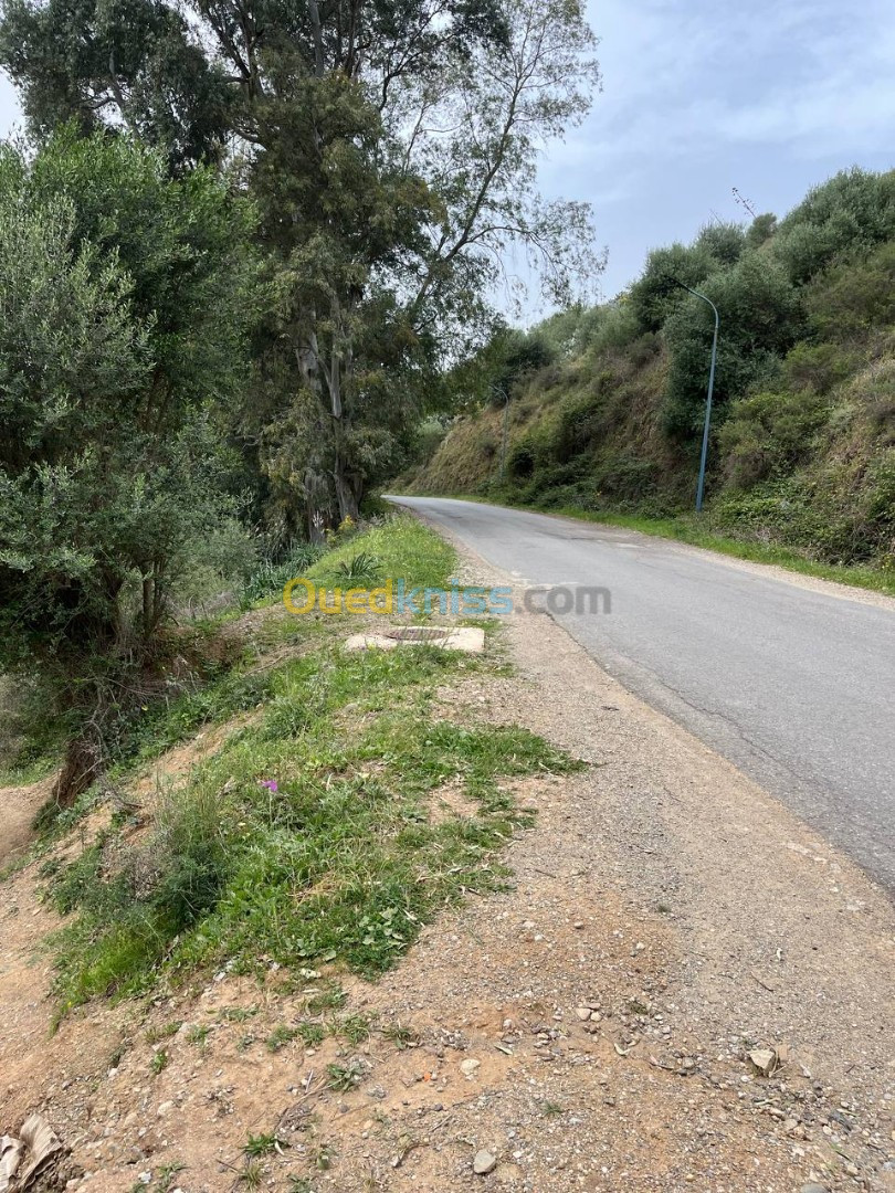 Vente Terrain Boumerdès Ouled aissa