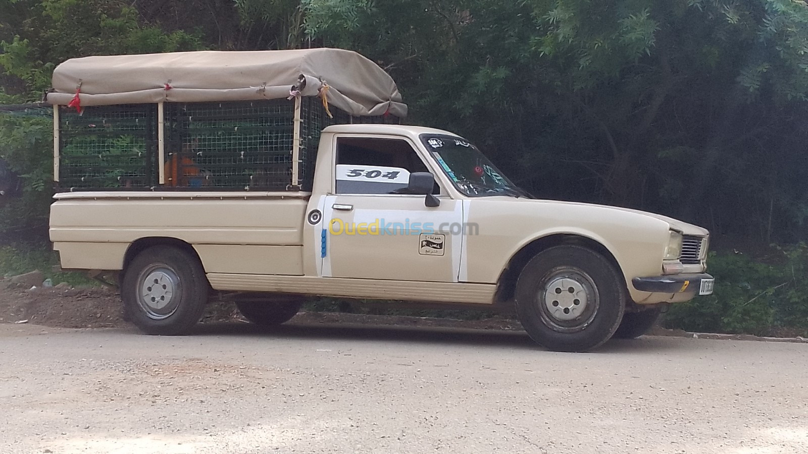 Peugeot 504 1982 