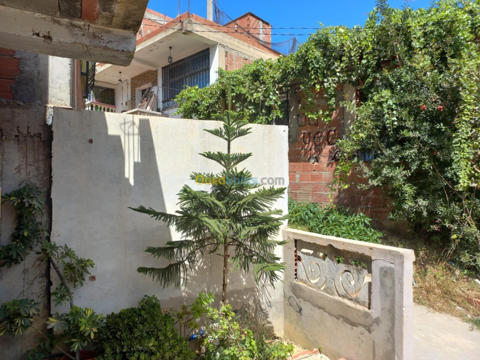 Vente Niveau De Villa F7 Tipaza Tipaza