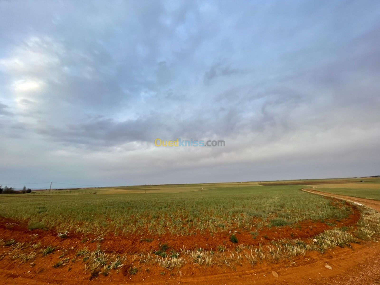 Location Terrain Tiaret Mahdia