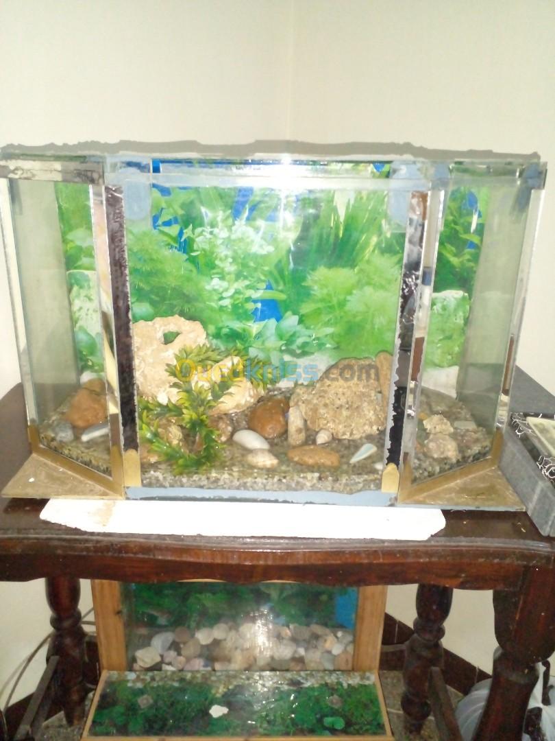 DEUX AQUARIUMS BON PRIX