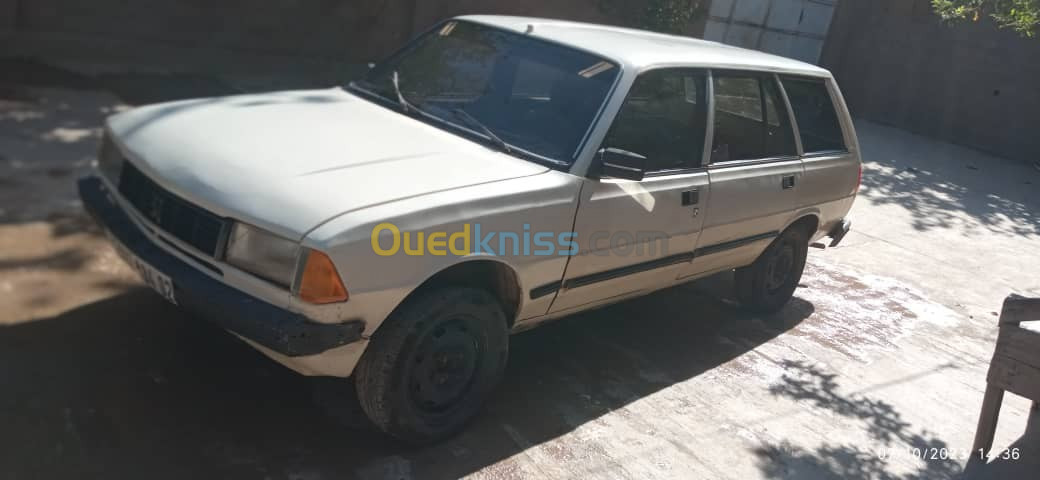 Peugeot 305 1984 305