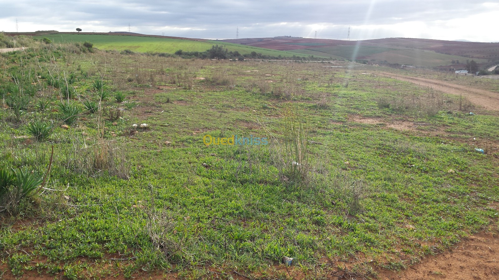 Vente Terrain Agricole Aïn Témouchent Terga