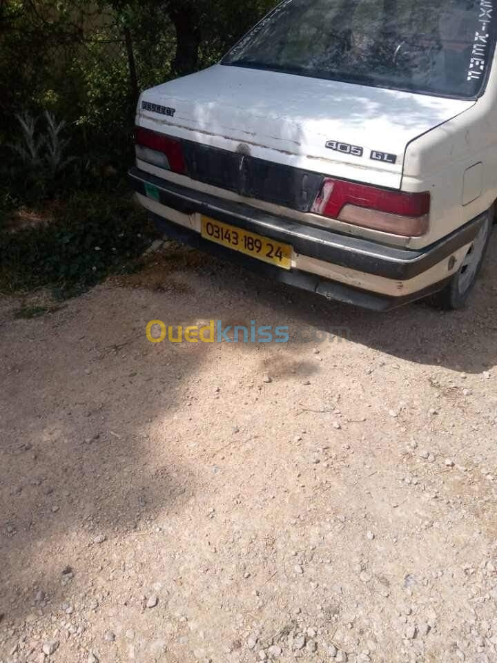 Peugeot 405 1989 405