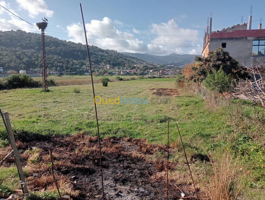 Vente Terrain Jijel Djemaa beni habibi