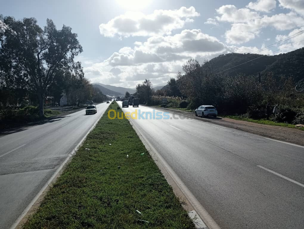 Vente Terrain Jijel Djemaa beni habibi