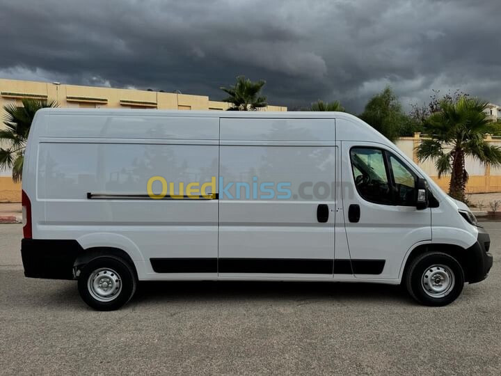 Fiat Professional Ducato 2024 L3