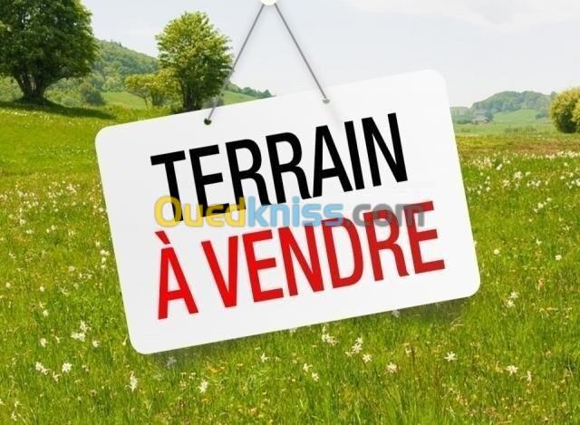 Vente Terrain Alger Beni messous