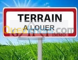 Location Terrain Alger Draria