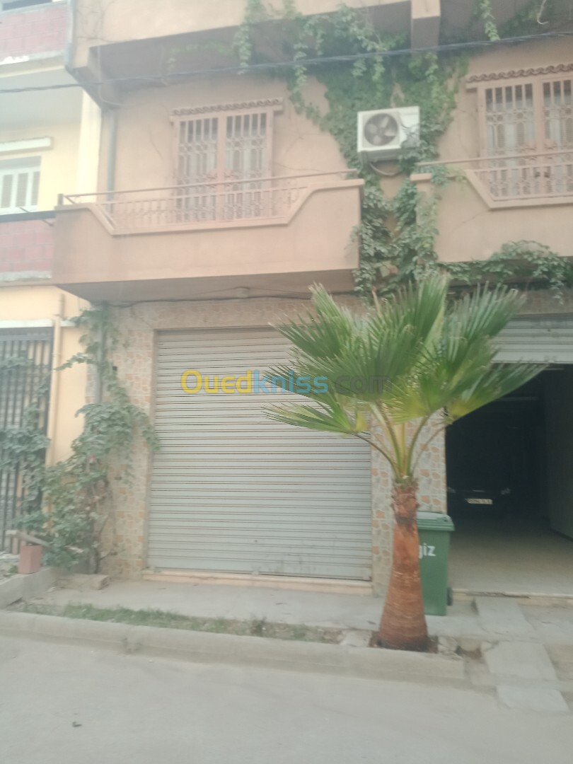 Location Niveau De Villa F12 Batna Batna