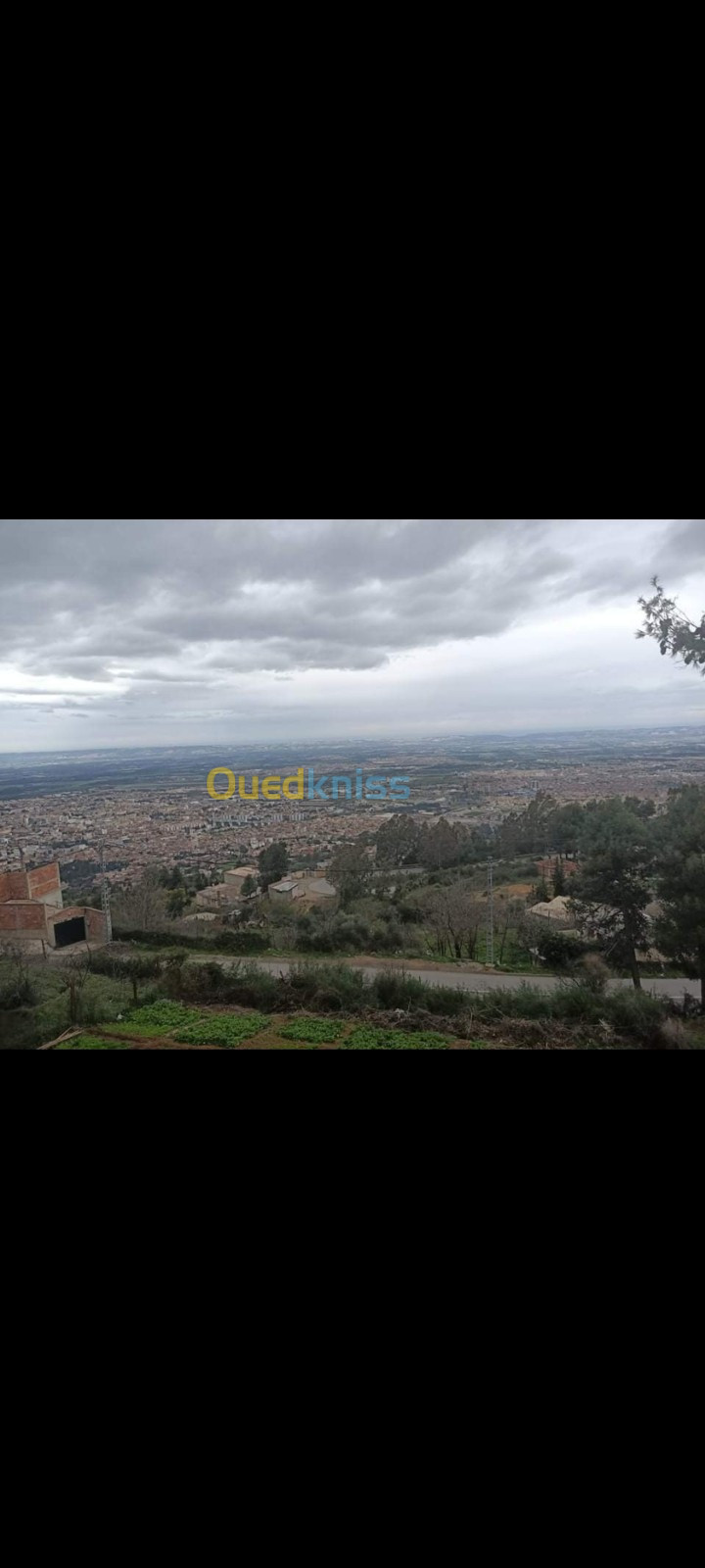 Location Villa Blida Blida