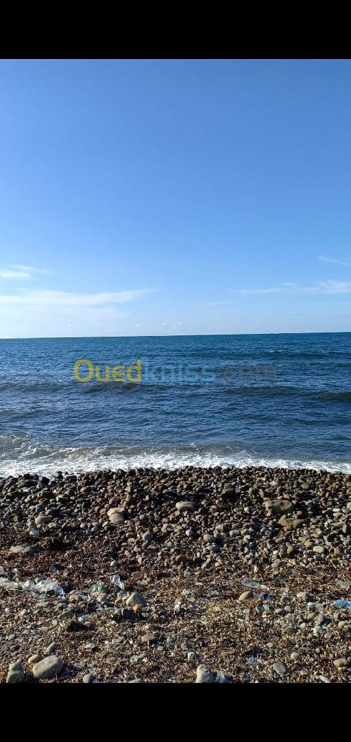 Location Niveau De Villa F3 Tipaza Cherchell