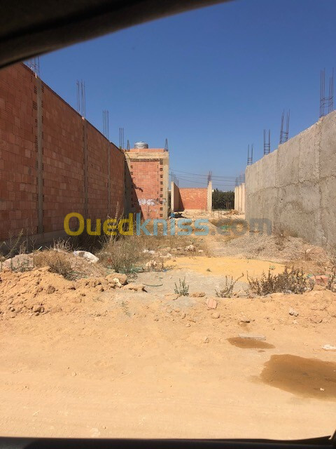 Vente Terrain Mostaganem Hassi maameche